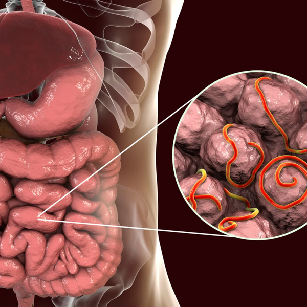 1. Targets the Full Parasite Lifecycle
