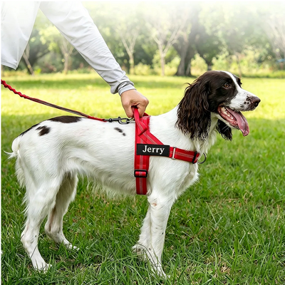 Premium non slip dog leash