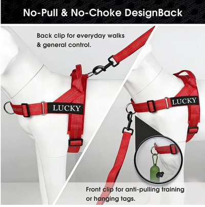 Premium non slip dog leash