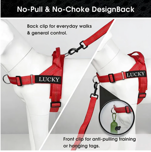 Premium non slip dog leash